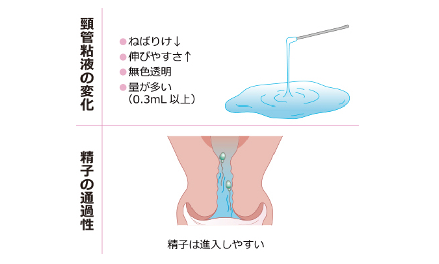 産み分け堀産婦人科